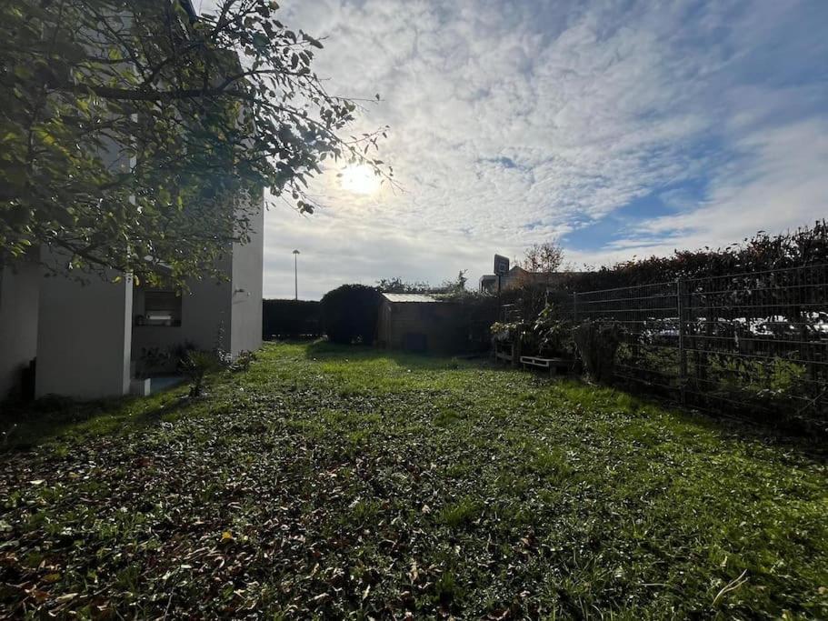 Un Havre De Verdure En Colmar